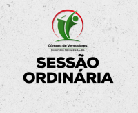 994° SESSÃO ORDINÁRIA 